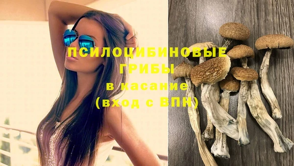первитин Белокуриха