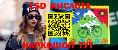 spice Кингисепп