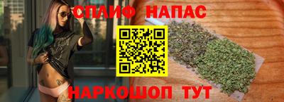 spice Кингисепп