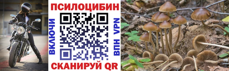 Псилоцибиновые грибы мицелий  Лыткарино 