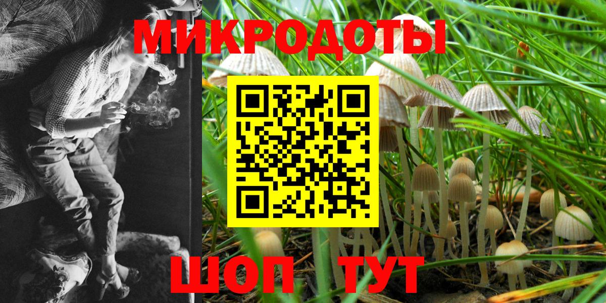 Псилоцибиновые грибы Psilocybine cubensis  Вход с VPN  Псилоцибиновые грибы Cubensis  Лыткарино 