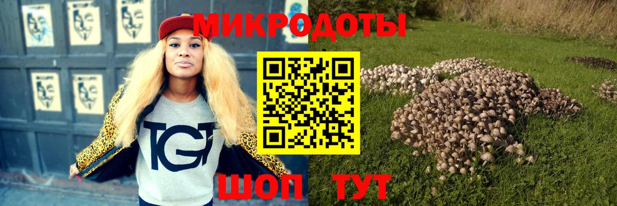 Псилоцибиновые грибы мицелий Лыткарино